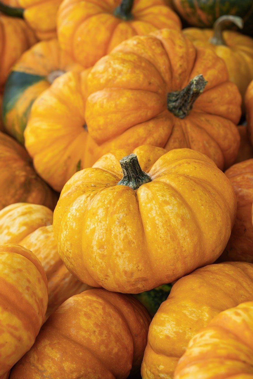 Beginner's Guide to Smart Gold Investing for Financial Security