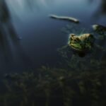 Nvidia and Menlo Micro Partner to Speed Up AI Chip Testing