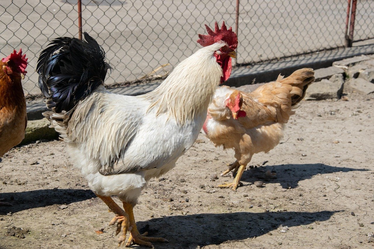 2025 Gold Market Insights: Trends, Forecasts, and Influential Factors