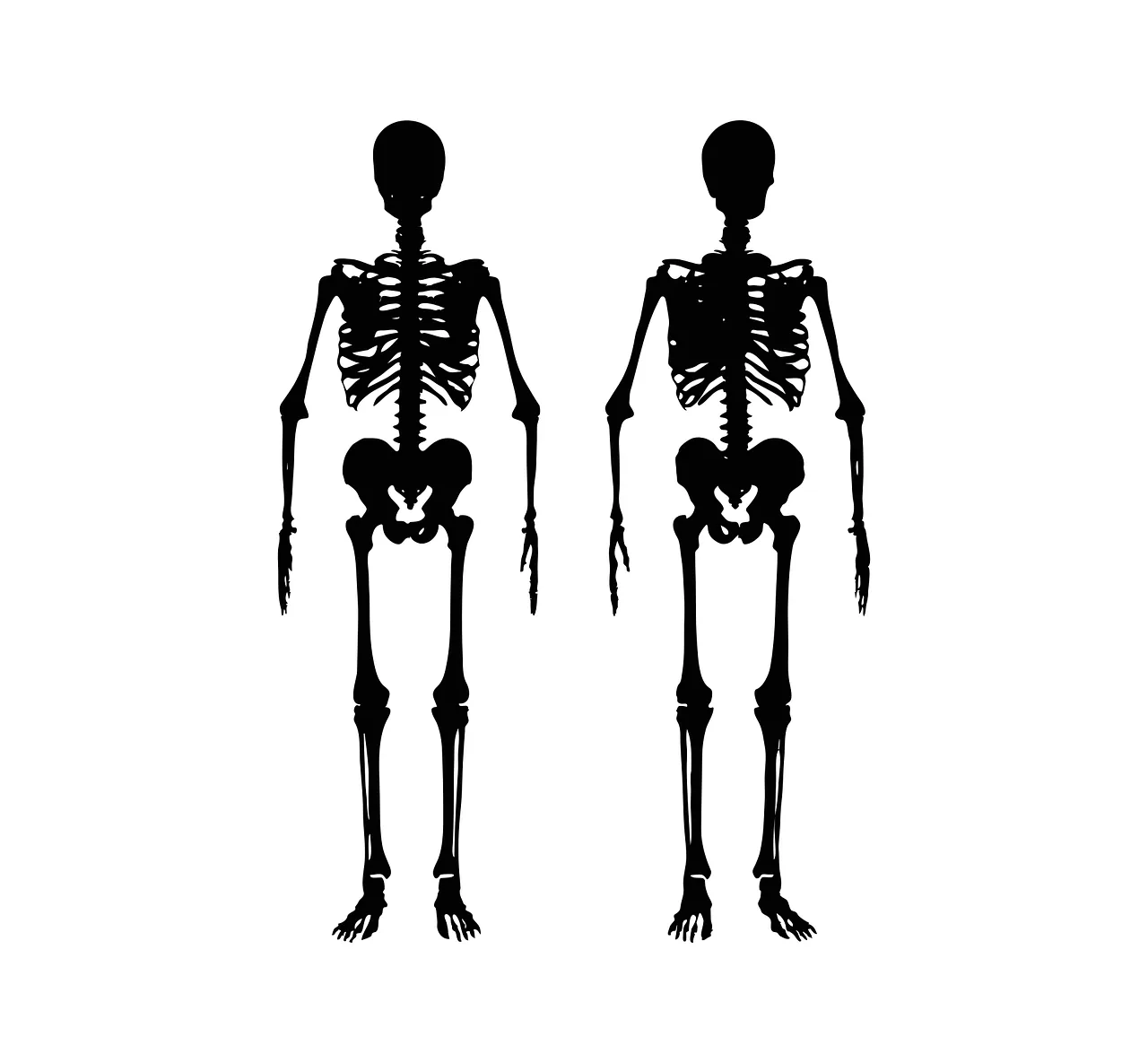 Gold vs Stocks: Which Asset Should You Choose in 2025?