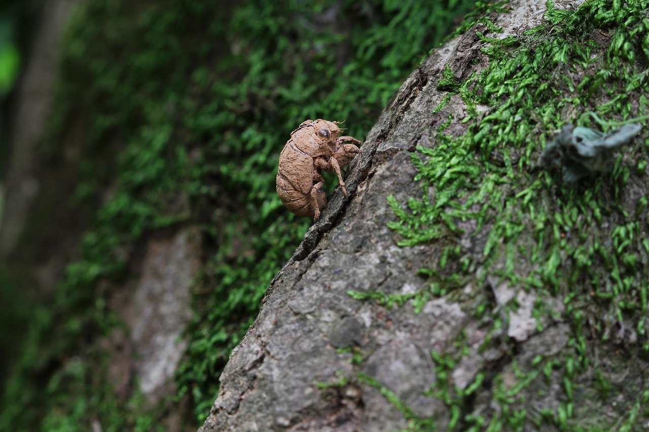 Investing Wisely: Unlocking Wealth Opportunities in Malaysia 2025