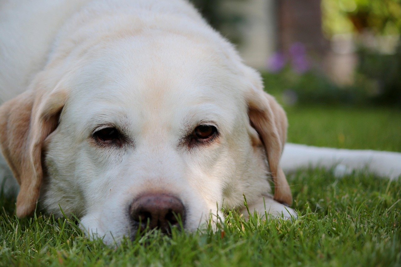 Smart Strategies for Investing in Malaysia's Dynamic Market in 2025