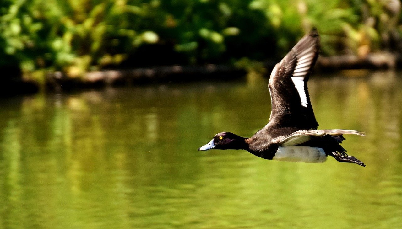 Strategic Retirement Planning: Maximize Your EPF and PRS Savings in 2025