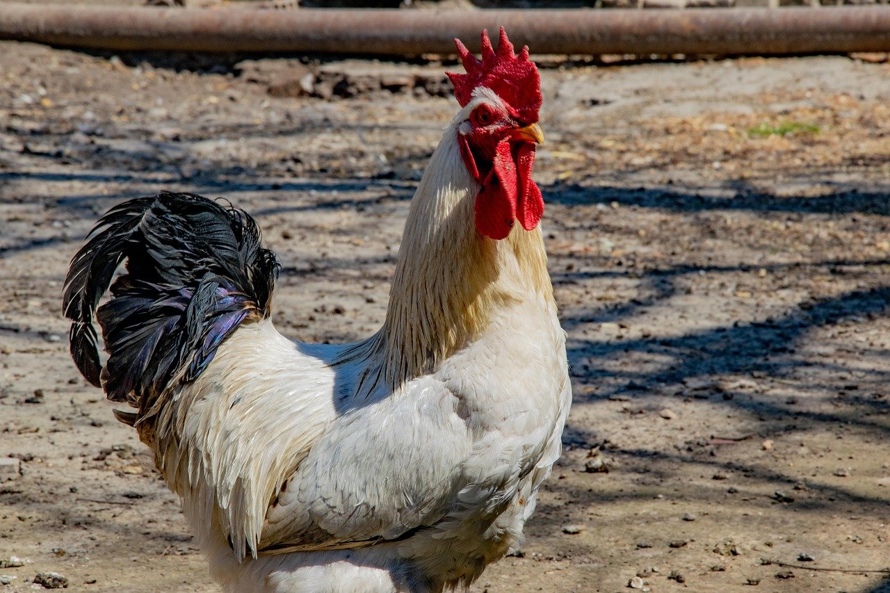 Top Strategies for Investing in Precious Metals in Malaysia 2025