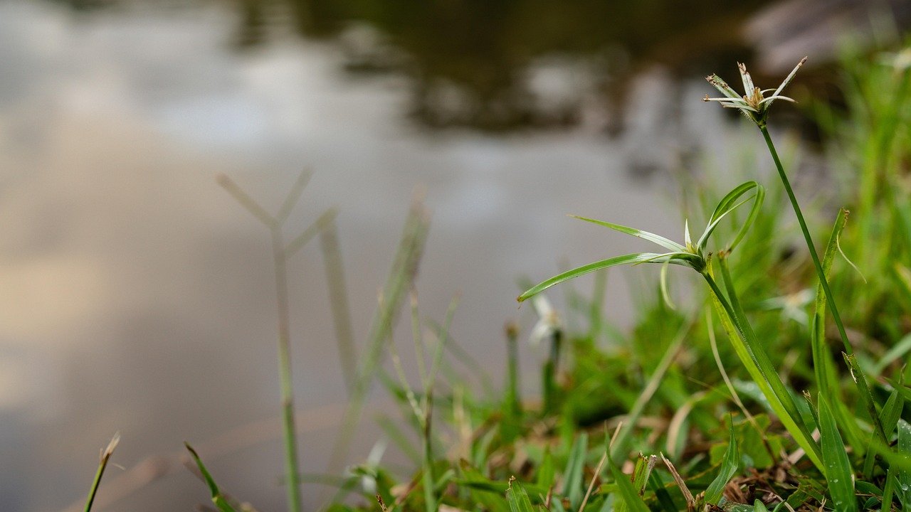 Comparing EPF and PRS Contributions for Effective Retirement Planning in Malaysia 2026