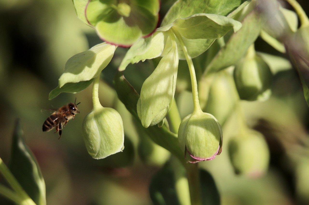 A Fresh Trade Game in South Asia: Where 'Reciprocal' Means 'Unequal'