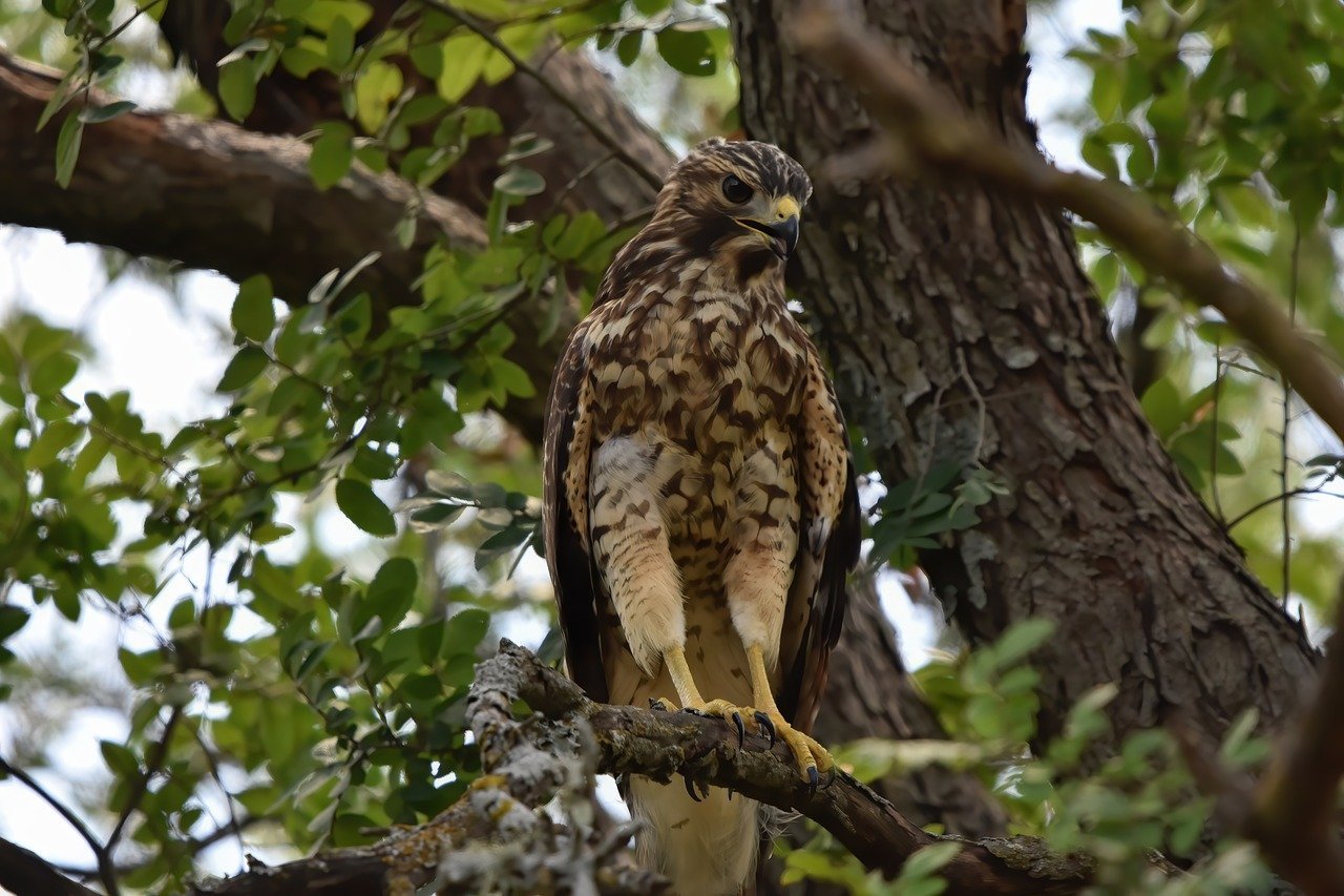 Bursa Malaysia Ends Lower as Initial Gains Erased by Profit-Taking