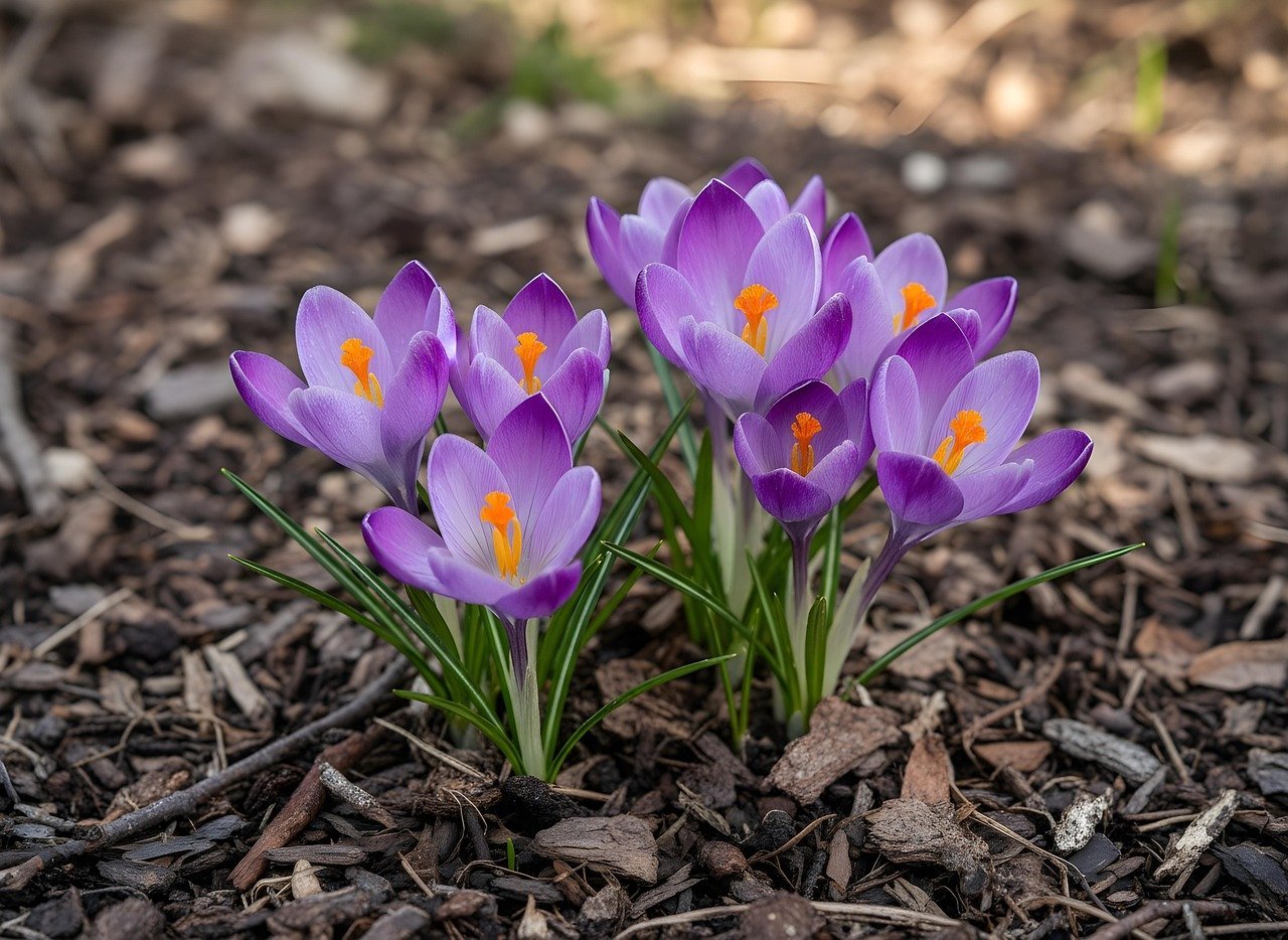 Business News | The Cutting-Edge AU Credit Card Revolutionizes Everyday Transactions in India