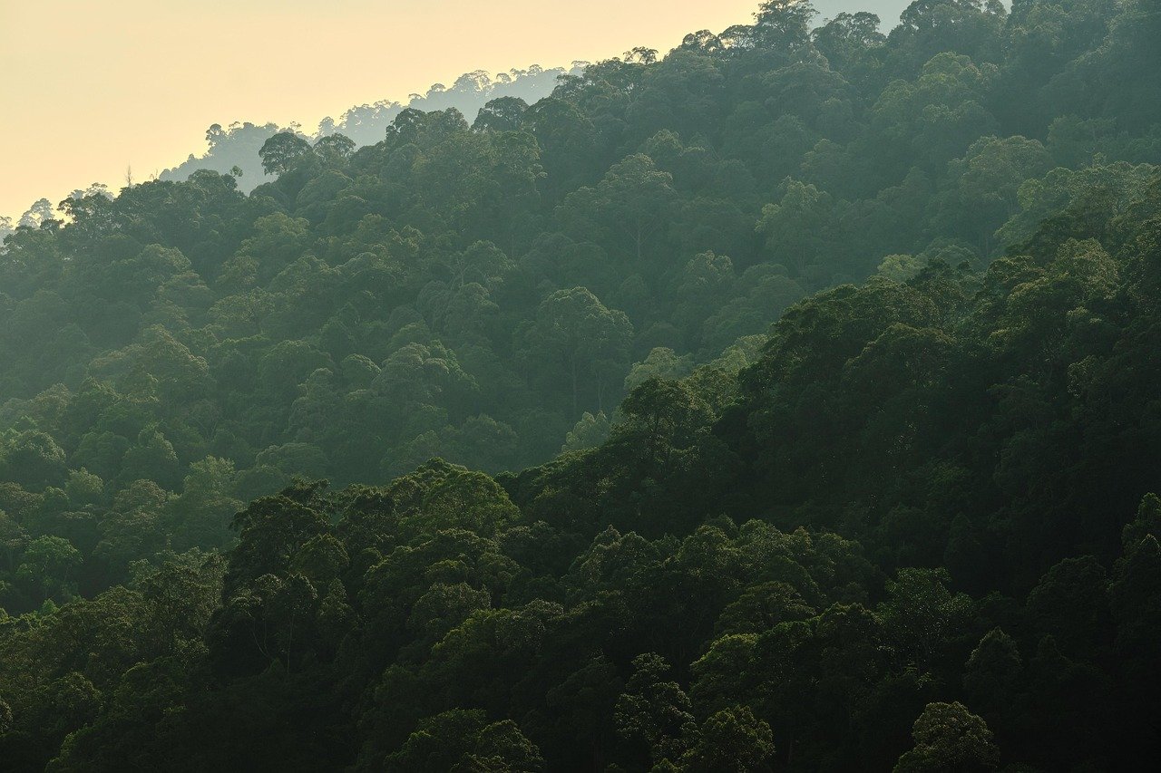 Comparing Australian Government Bonds and Malaysian Corporate Sukuk Performance