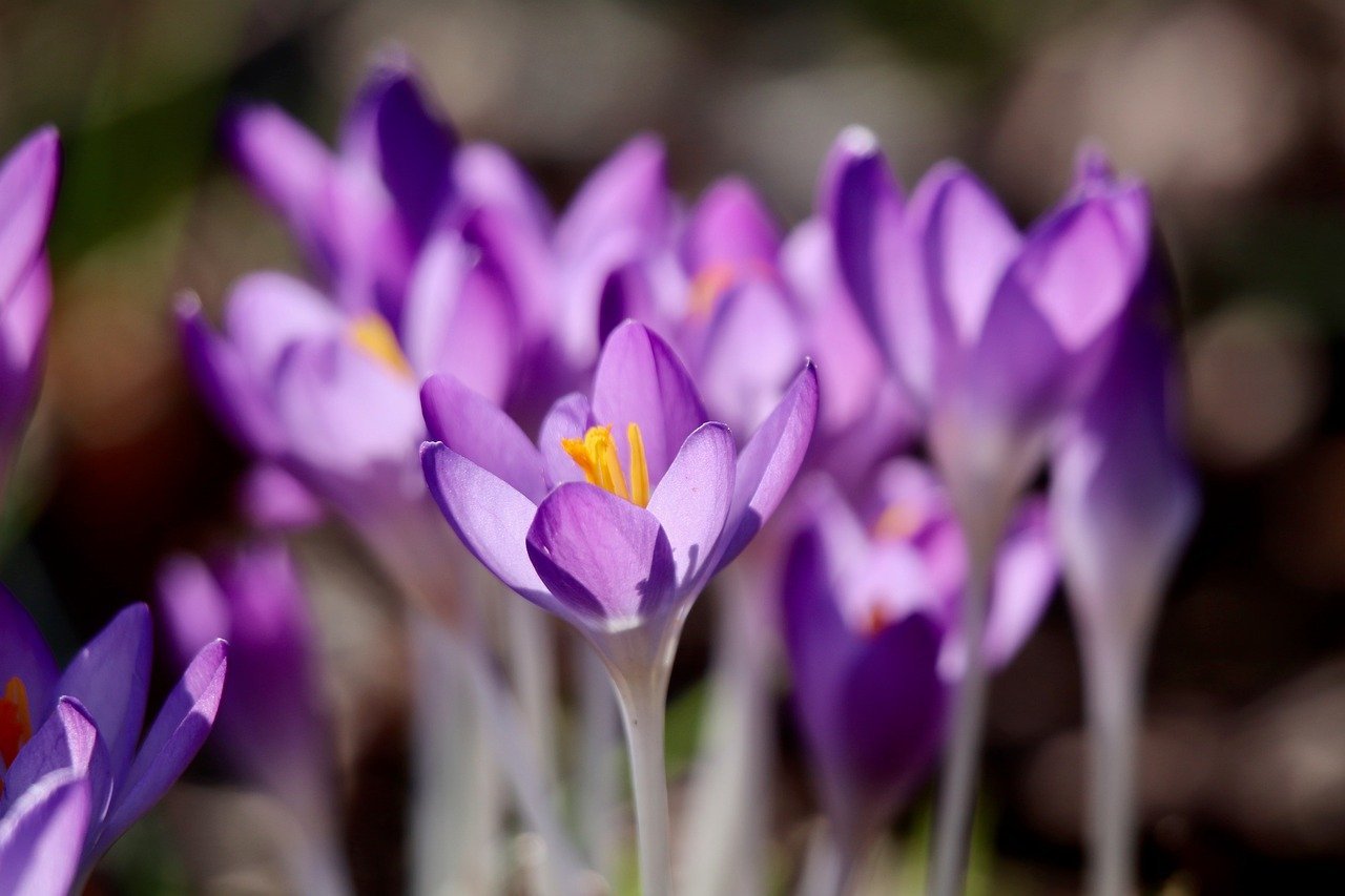 eMudhra Opens Almaty Office to Boost Central Asia's Digital Advancement with Secure Identity, E-Signature, and Trust Solutions