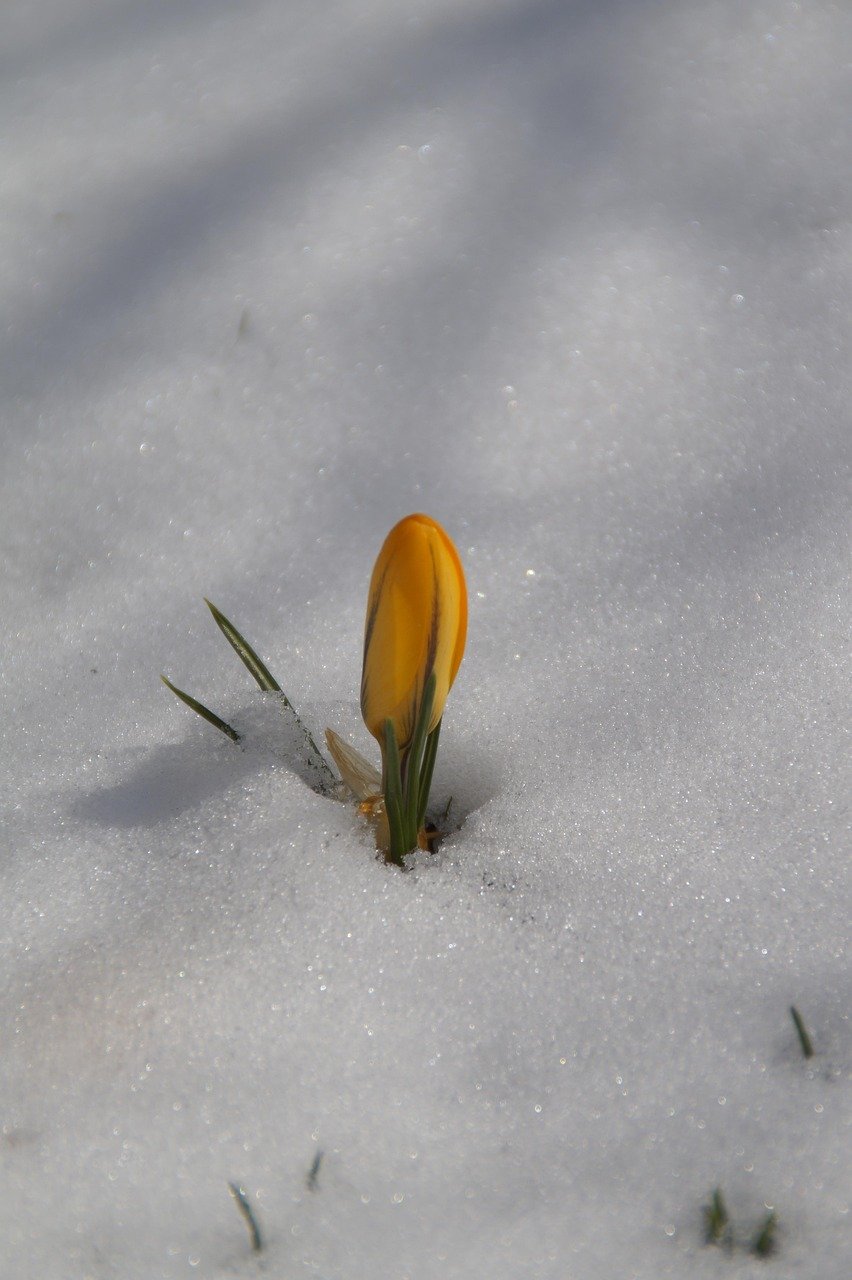 Evaluating Regulatory Impact on Malaysia’s Crypto and Alternative Investment Landscape