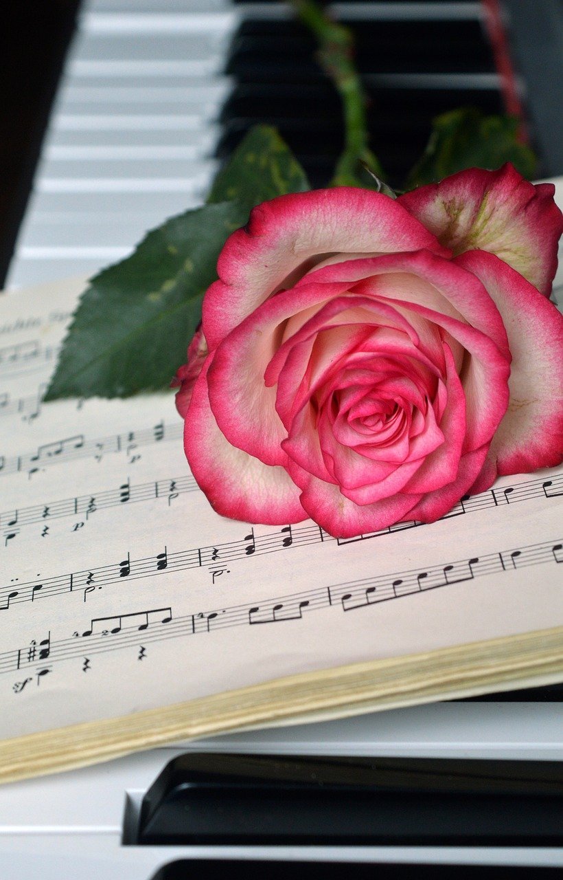 Government May Ban Foreign Credit Card Transactions for RON95 Acquisitions