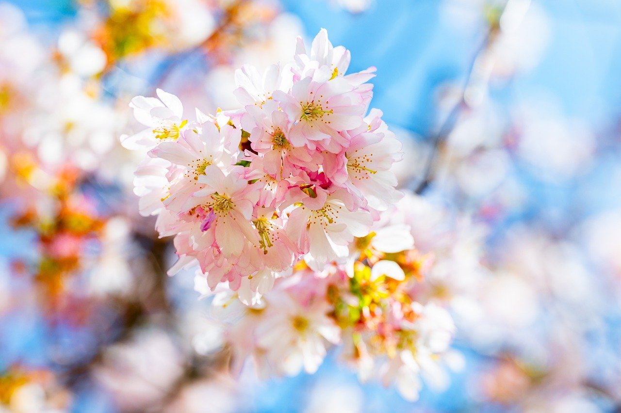 India and Malaysia Form Digital Council to Improve UPI for Seamless Cross-Border Transactions