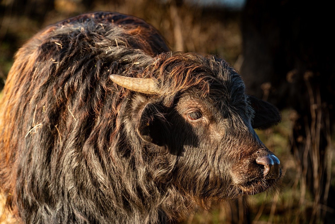 India-Malaysia Ties Bolster Strategically