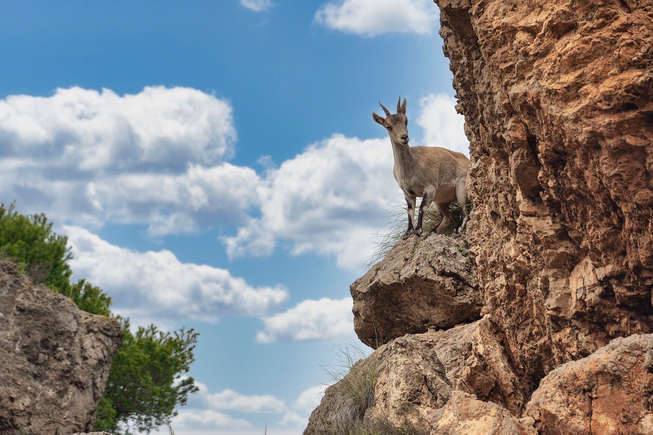 Malaysian Police Look into Suspected Plot by Prominent Family to Collaborate with UK Company for Government Toppling through International Media