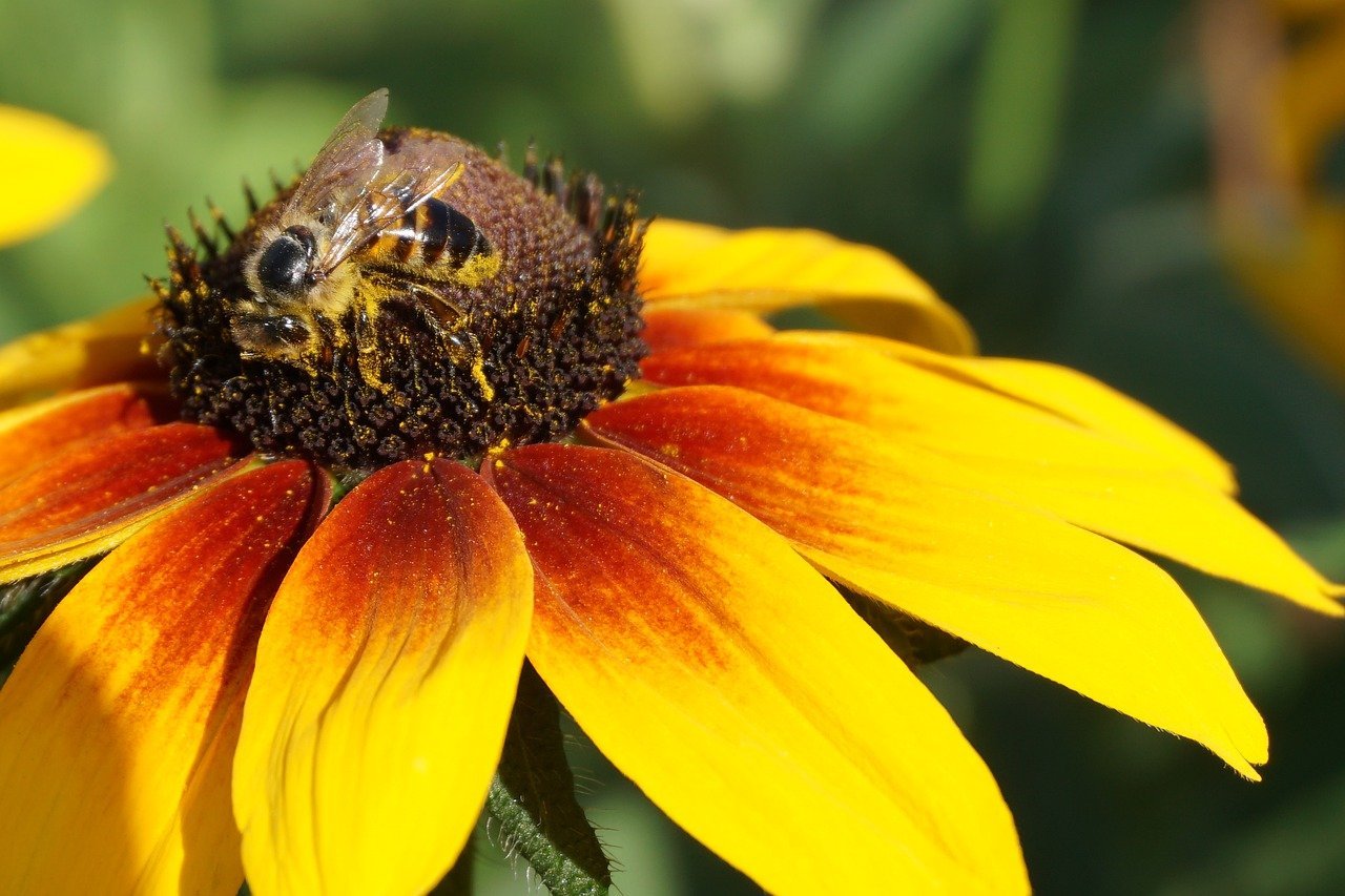 Malaysians Limit Expenditure While Still Focusing on Raya Festivities Despite Financial Strains