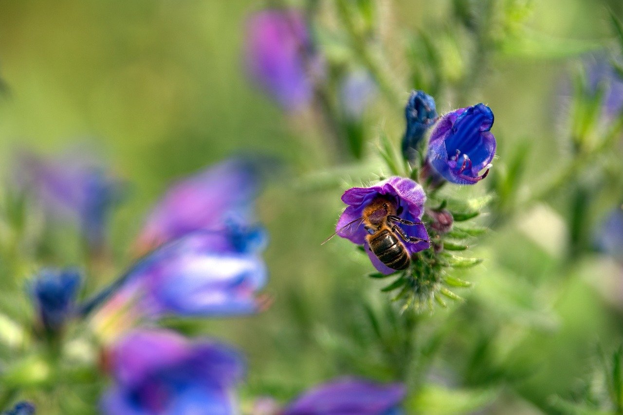 Marriott Bonvoy Captures Opportunities in Indonesia's Growing Travel Market with New Credit Card