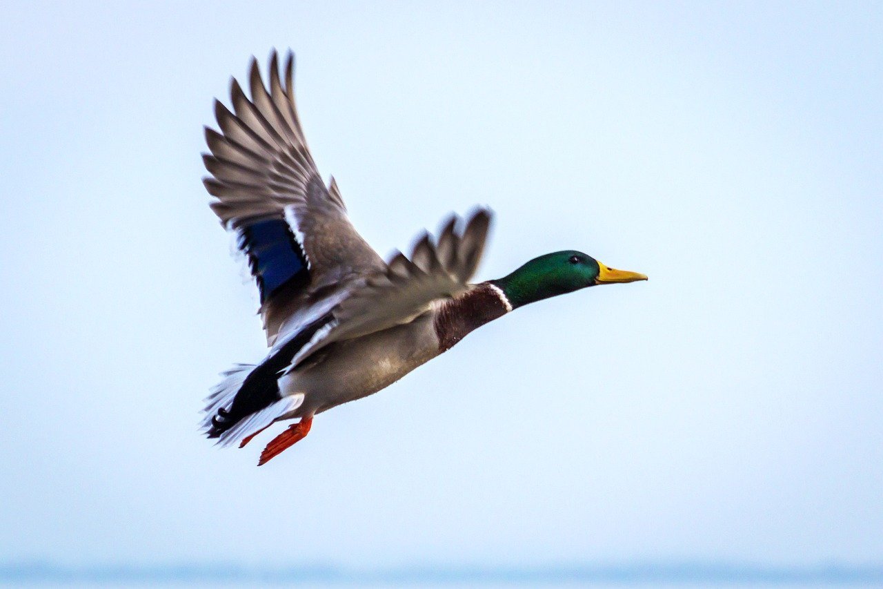 MTCIT Unveils Nonstop Flights from Muscat to Tashkent to Strengthen Trade Links in Central Asia