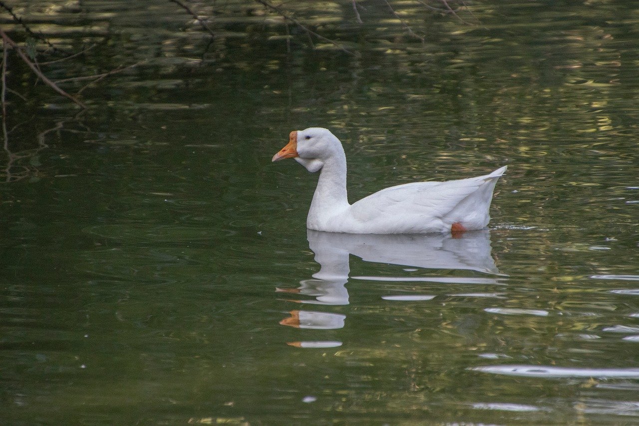 Post-Sabah Earthquake: Is It Time for Malaysian Property Investors to Reevaluate Risk?