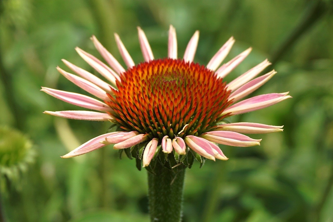 UAE Resident Triumphs in Credit Card Dispute Legal Case