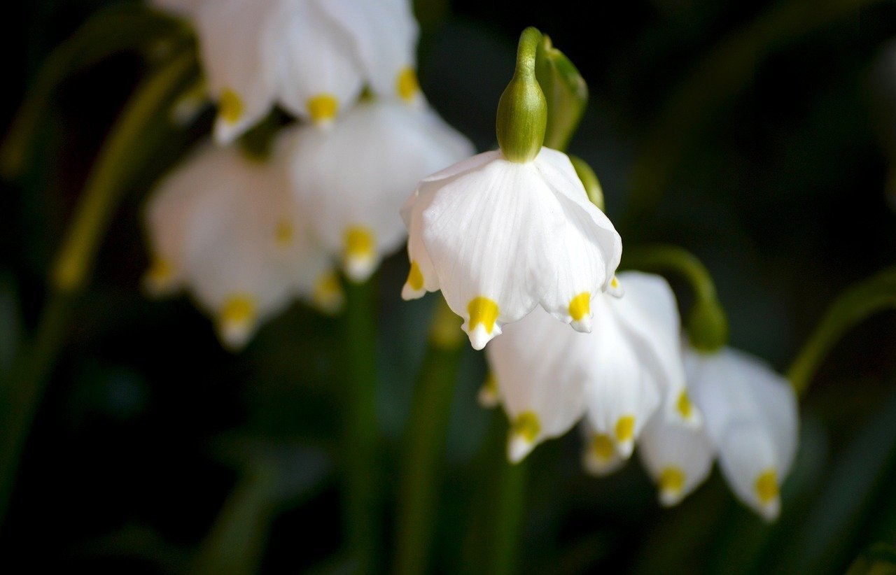 Bursa Malaysia Falls at Midday Amidst Targeted Selling