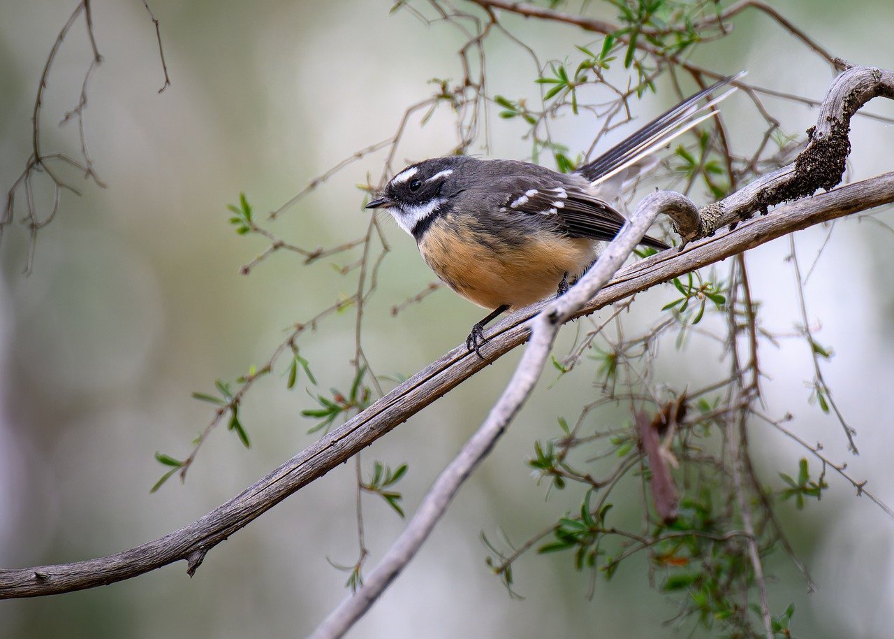 Bursa Malaysia to Exercise Caution in Trading Next Week Due to West Asia Conflict Affecting Sentiment