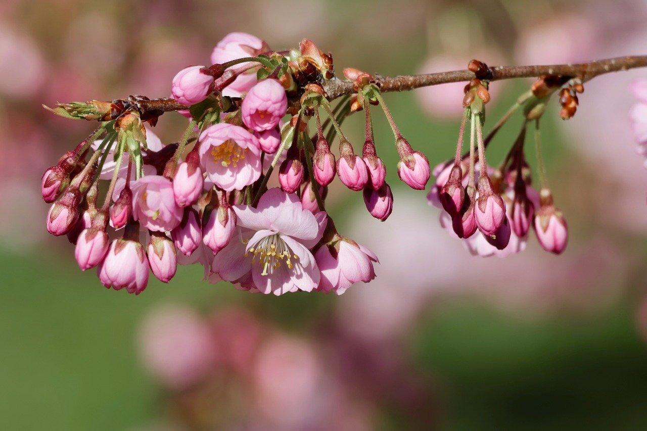 Business: Adopting Risk-Sharing Will Revolutionize Malaysia's Flourishing Islamic Banking Industry - Economists
