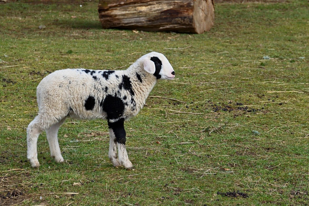 Business: CMP to Augment the Dynamism of Malaysia's Capital Market — MBSB