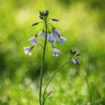 Business: Sector Hopeful Regarding Ongoing PTV 3.0 Insurance Acceptance Following Campaign