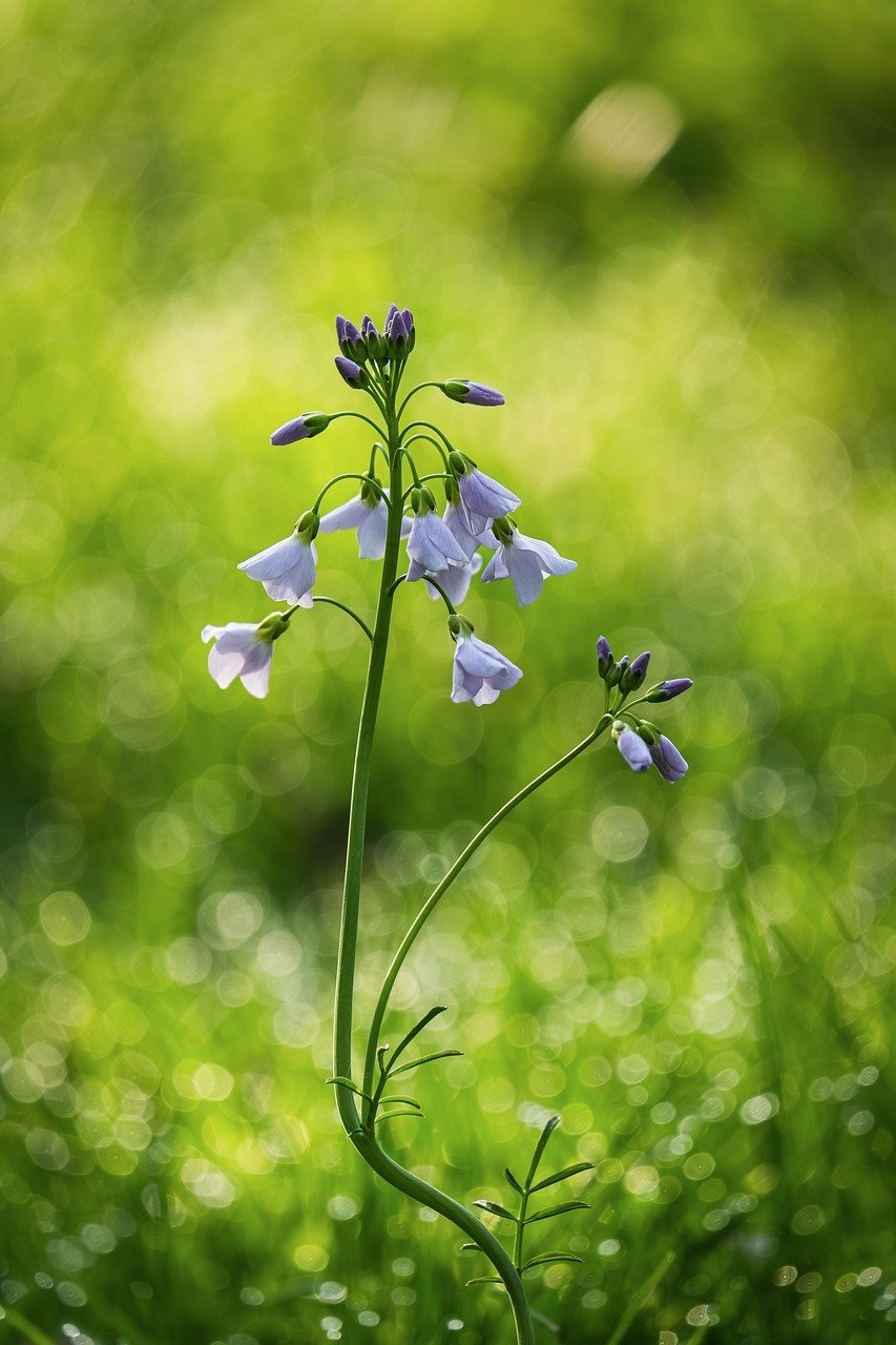 Business: Sector Hopeful Regarding Ongoing PTV 3.0 Insurance Acceptance Following Campaign