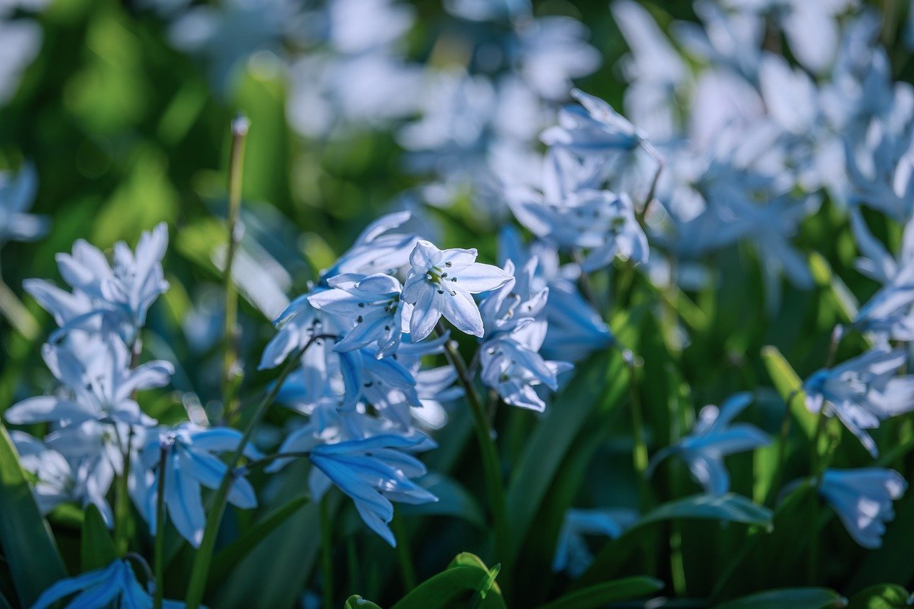 Central Asia Metals announces a net loss