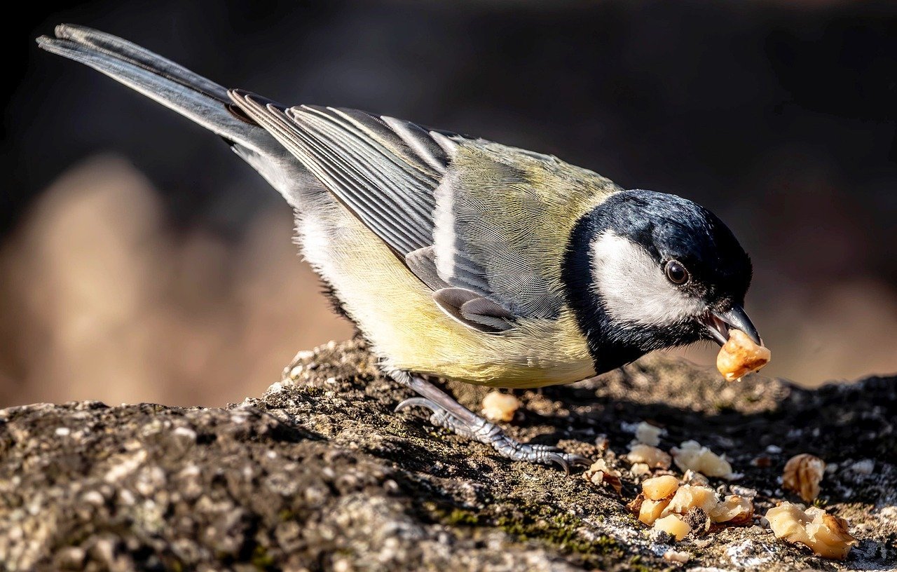 Central Asia Must Take the Lead, Rather than Washington, in Essential Minerals Collaboration