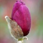 Central Asia's GDP Surpasses $500 Billion Driven by Strong Regional Expansion