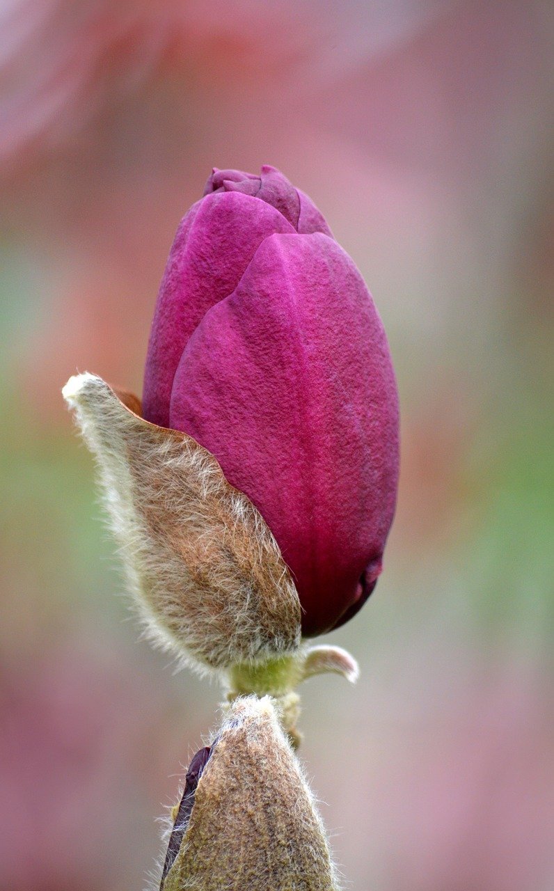 Central Asia's GDP Surpasses $500 Billion Driven by Strong Regional Expansion