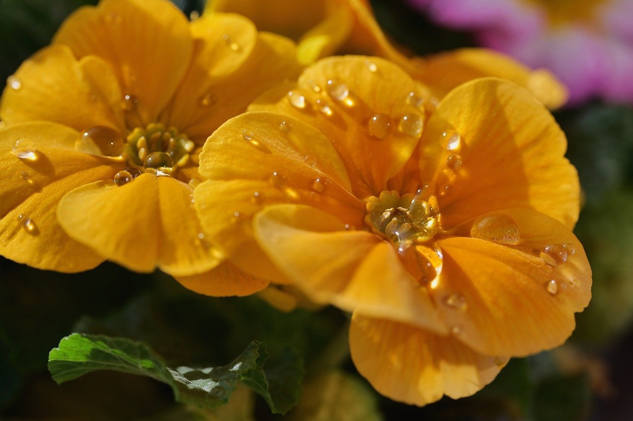 China Outpacing an At-Risk Russia in Central Asia