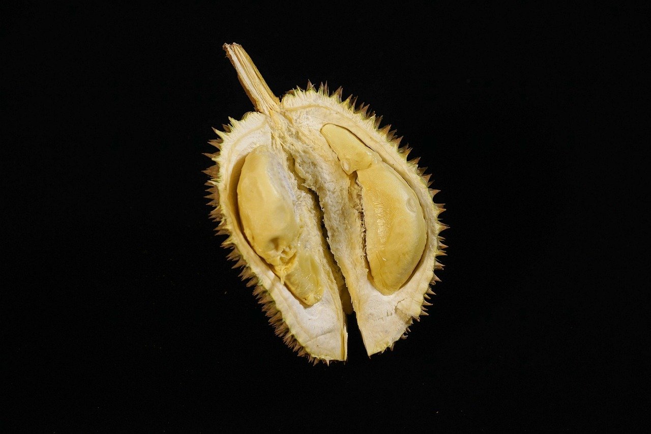 Comparing Risk and Returns of Government and Corporate Bonds in Malaysia 2026