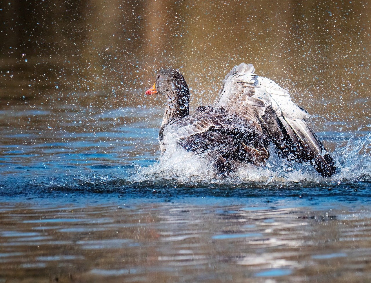 Conflict in West Asia threatens the two essential lifelines of South Asia — remittances and energy.