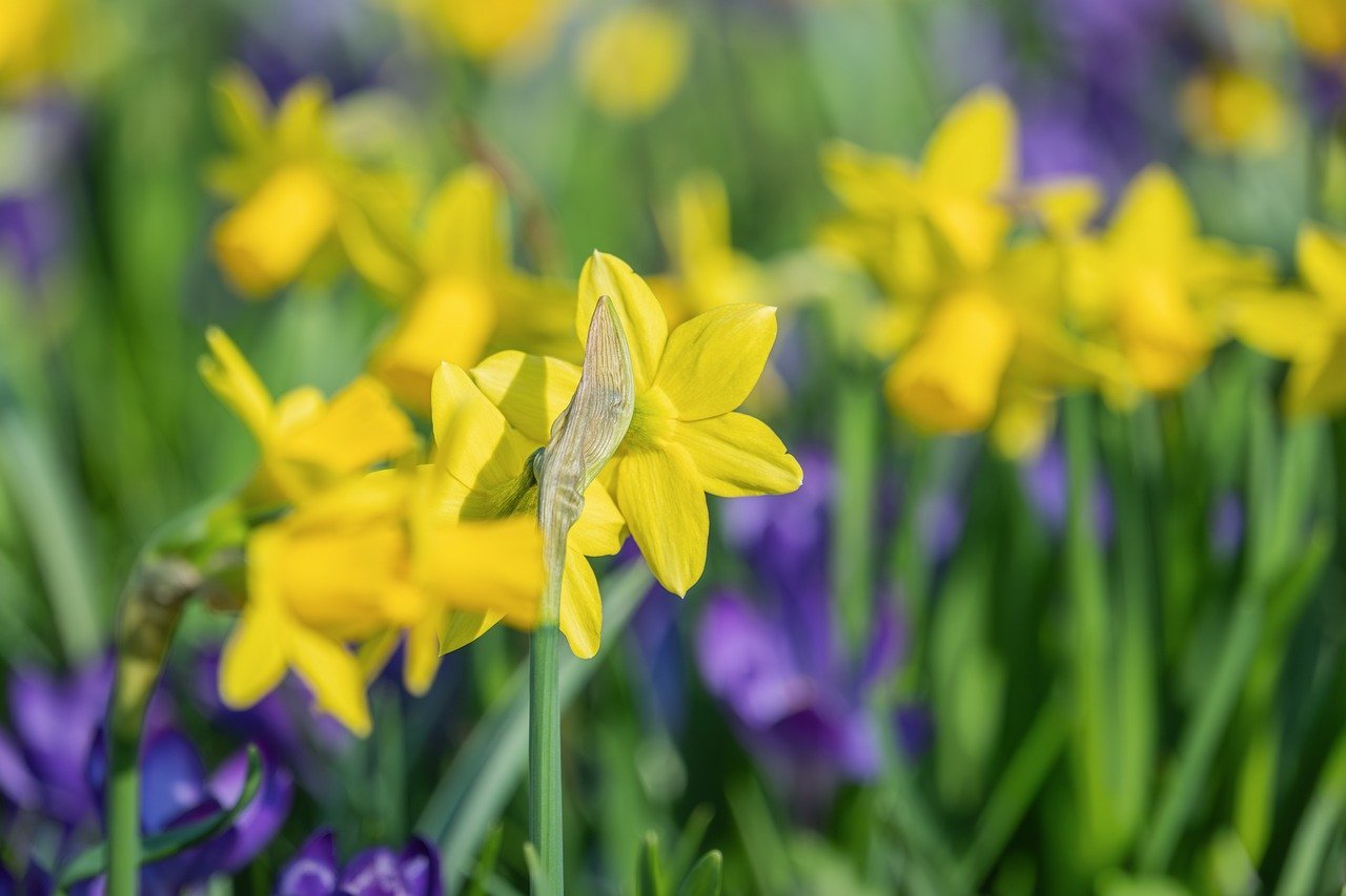 Consumer Credit Commission Names Abu Hassan Alshari Yahaya as Executive Chairman