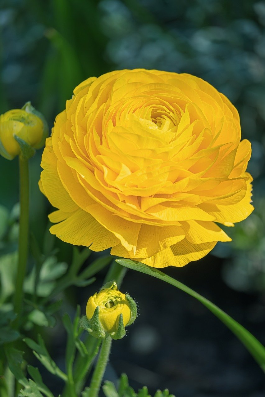 Cybozu Allocates RM25 Million for Malaysian Ventures, Targeting Growth in Southeast Asia