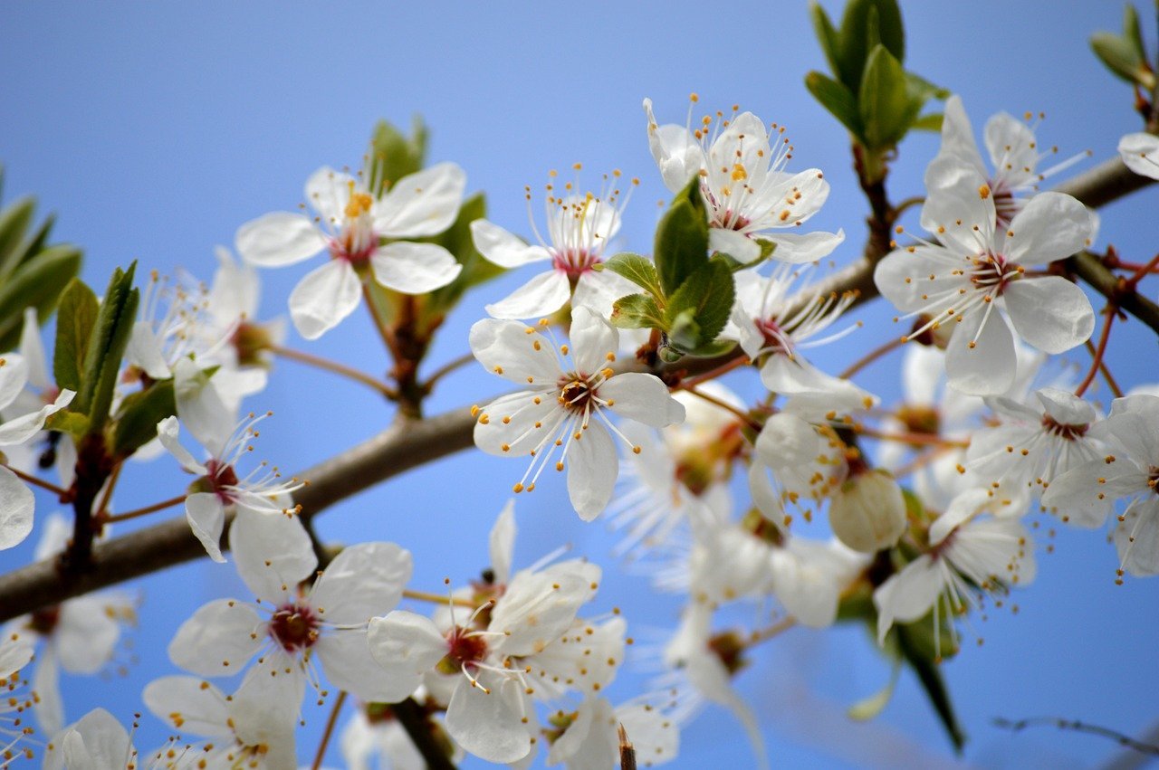 Data Consolidation and Climate Resilience Approaches for South Asia
