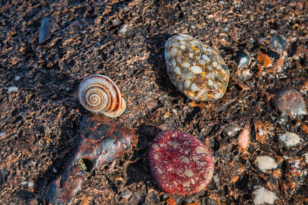 Diesel Disparity: Consequences of Malaysia’s Subsidy Framework for Transportation