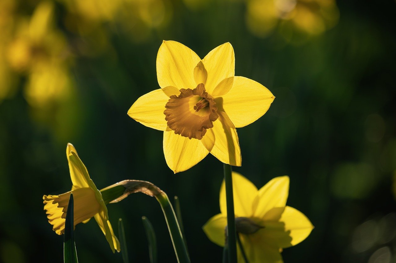 Disruption in the Strait of Hormuz: Several Tankers Carrying Russian Crude Rerouting to India Due to West Asian Oil Supply Issues