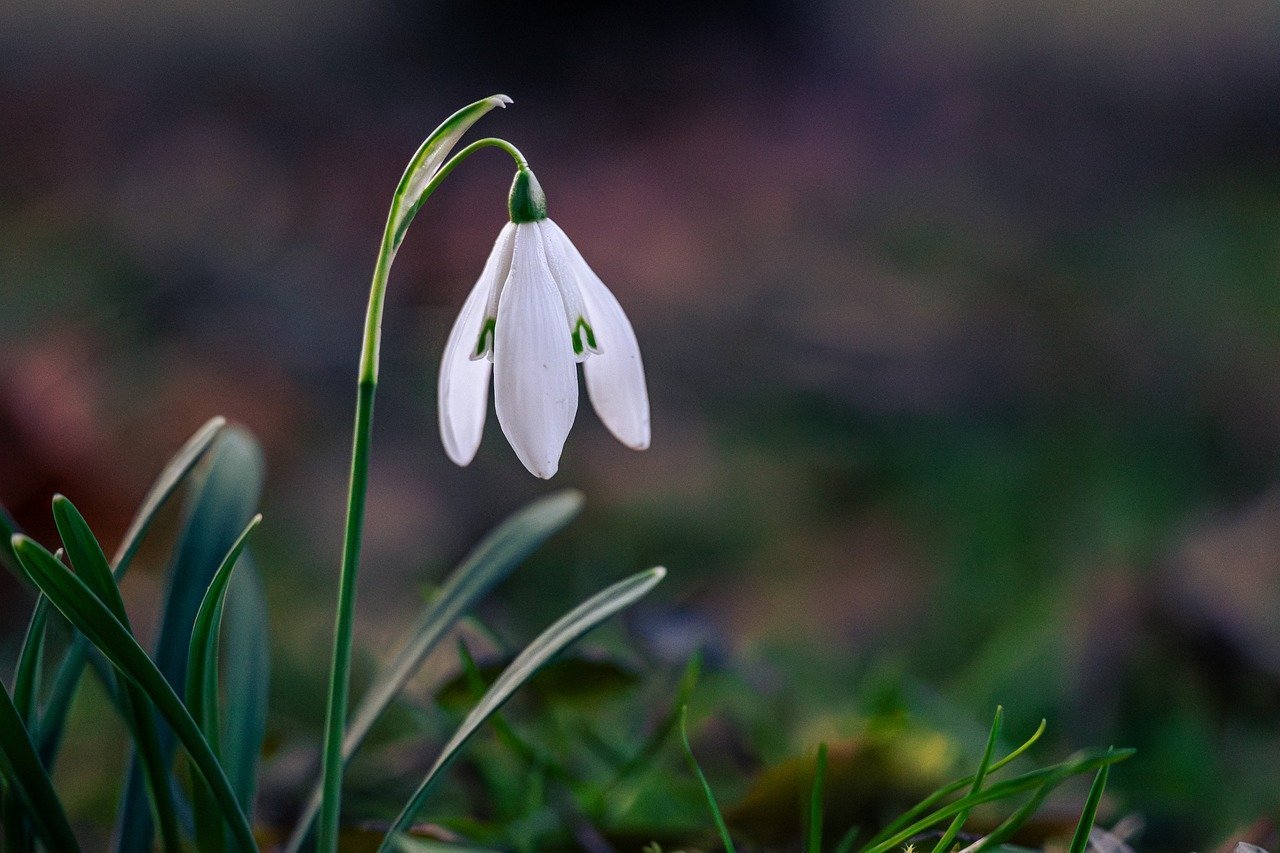 Festival of Marketing Commemorates Groundbreaking Asian Premiere in Kuala Lumpur, Malaysia
