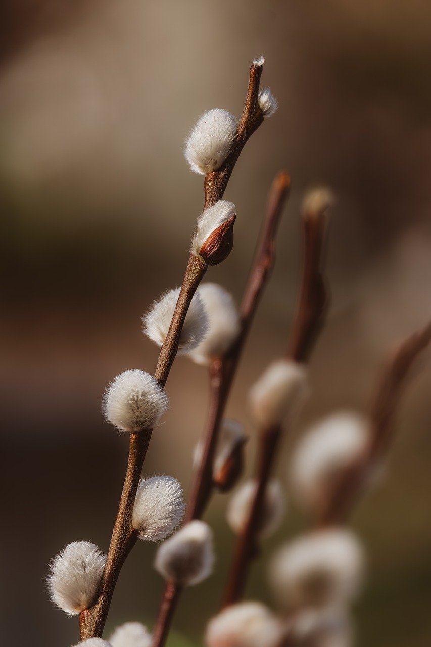 Festival of Marketing Commemorates Landmark Asian Debut in Kuala Lumpur, Malaysia
