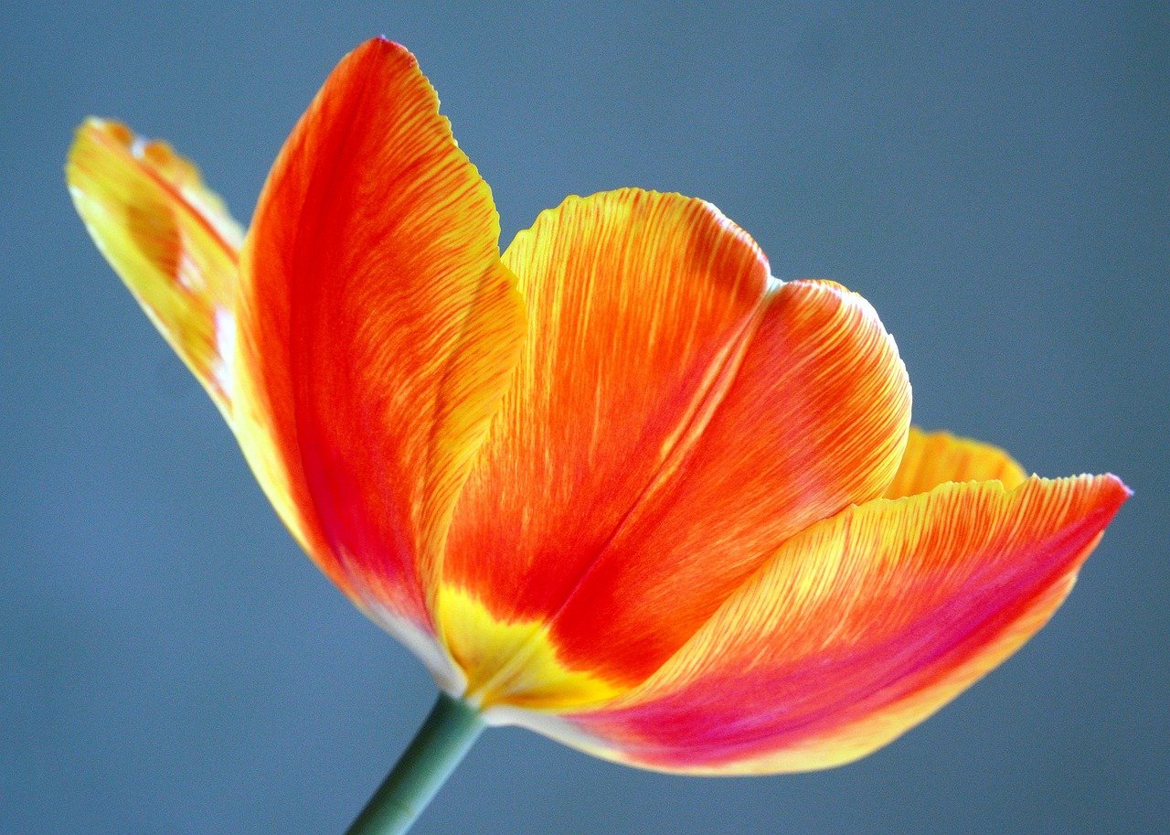 Ghana Launches Landmark Visa Exemption Agreement with Kyrgyzstan in Central Asia