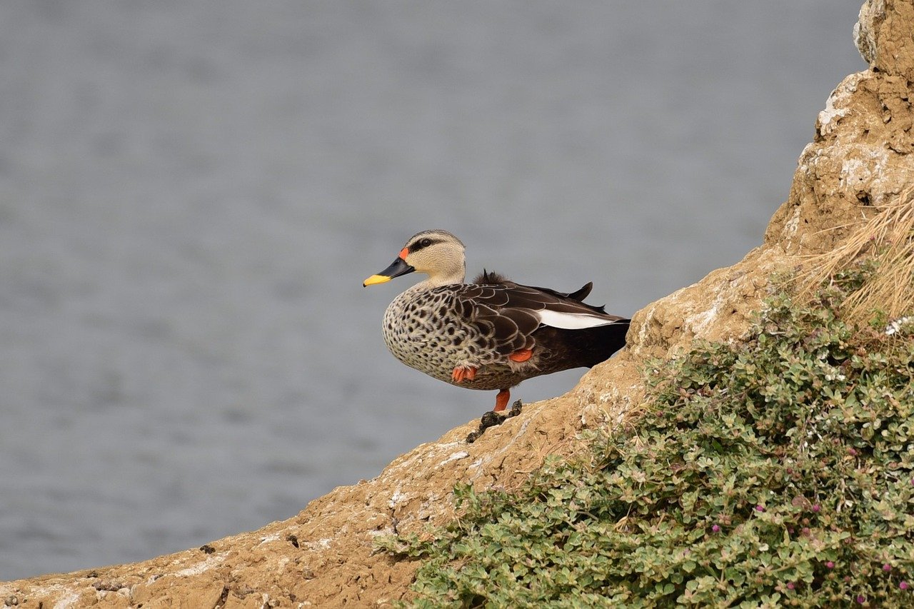 Gold and Silver Rates Surge on Tuesday – City-Wise Prices for March 10
