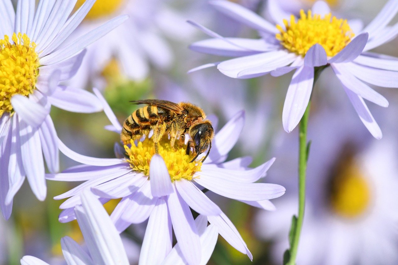 Gujarat Semi Connect 2026: CM Bhupendra Patel Invites Industry Heads to Enhance Investment