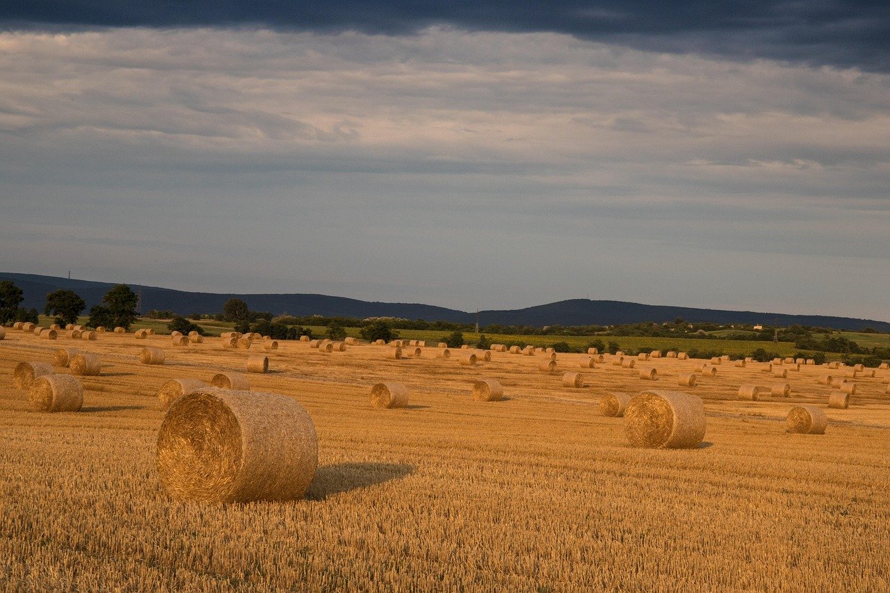 How High Might Gold Reach This Year? Top 3 Price Forecasts