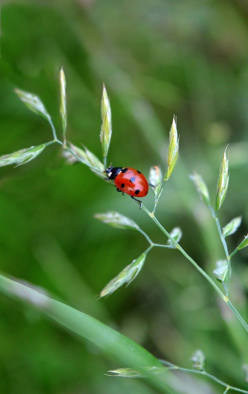 Malaysia encounters increasing fuel and trade expenses stemming from the conflict in the Middle East.