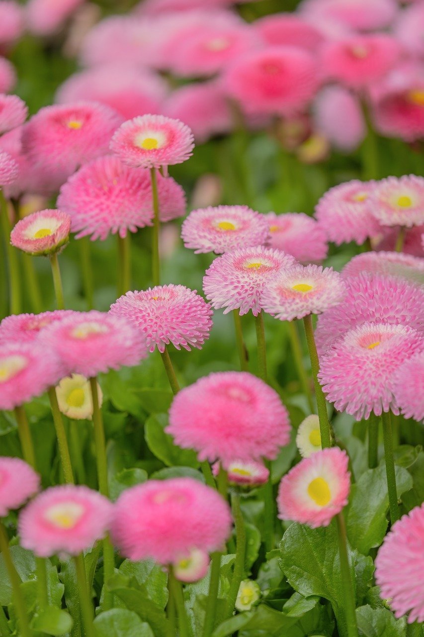 Malaysia Set to Ban Foreign Debit and Credit Cards for RON95 Transactions to Curb Subsidy Misuse